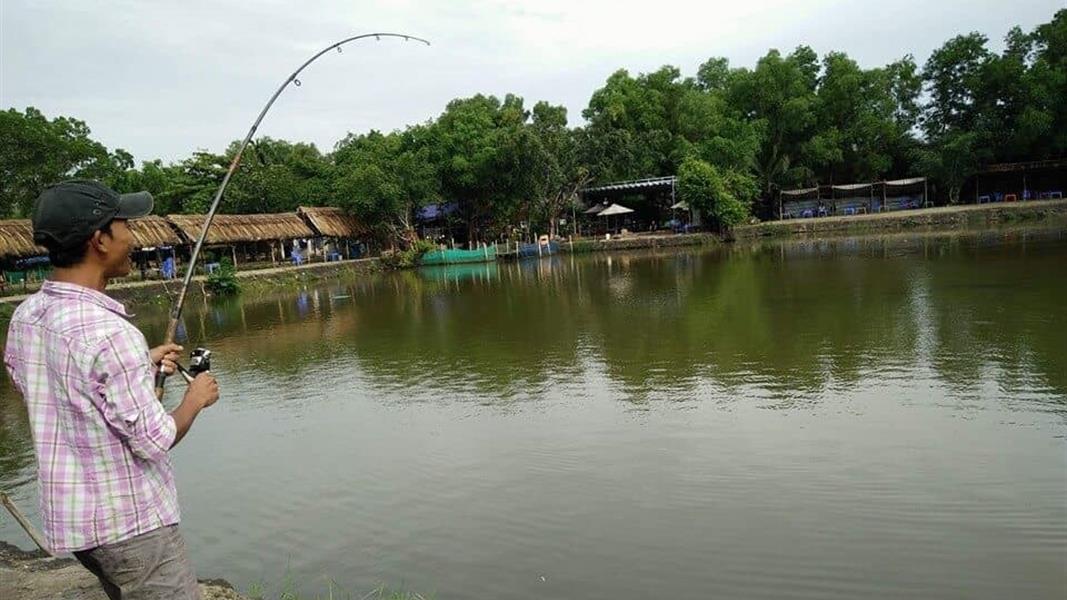 Câu cá tại đùng